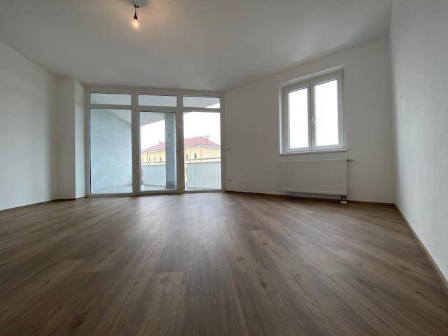 Wohn- Esszimmer