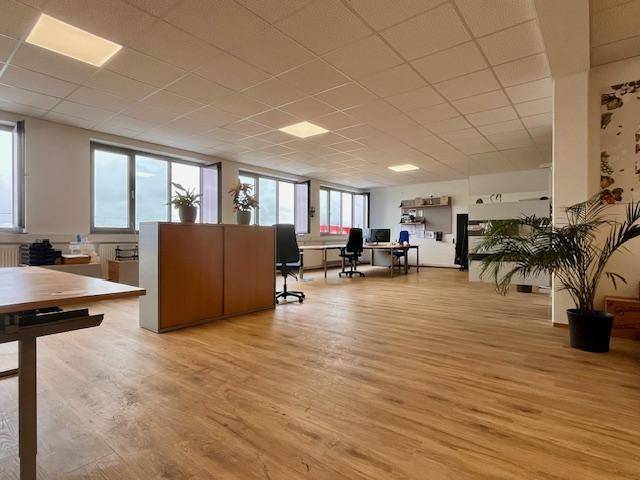 Weitläufiges Büro mit viel Tageslicht, Holzboden und Pflanzen für eine angenehme Arbeitsatmosphäre.