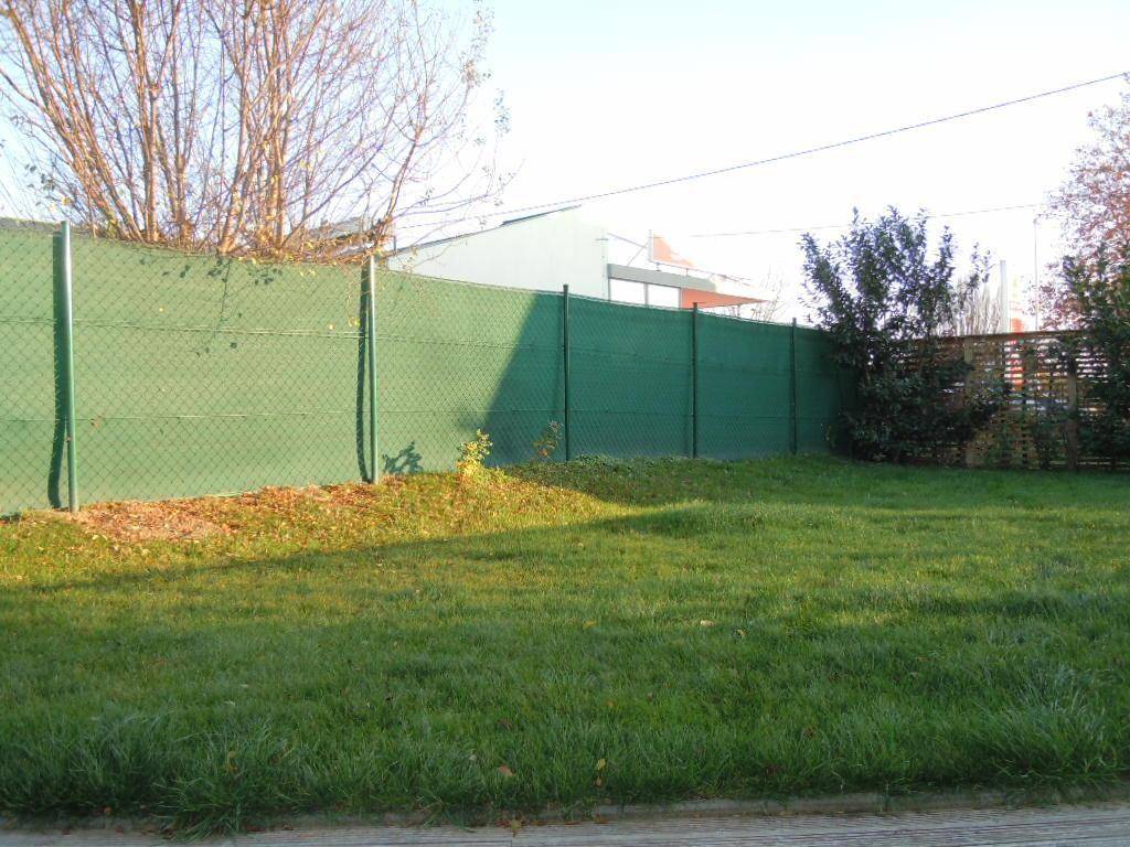Grüner Zaun umgibt den gepflegten Rasenbereich des Gartens an einem sonnigen Herbsttag.