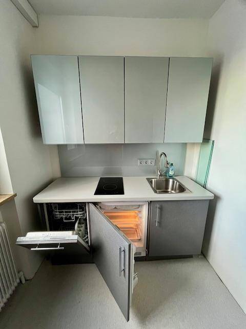 Detailansicht der Küchenzeile mit integriertem Geschirrspüler, Kühlschrank und Induktionskochfeld.