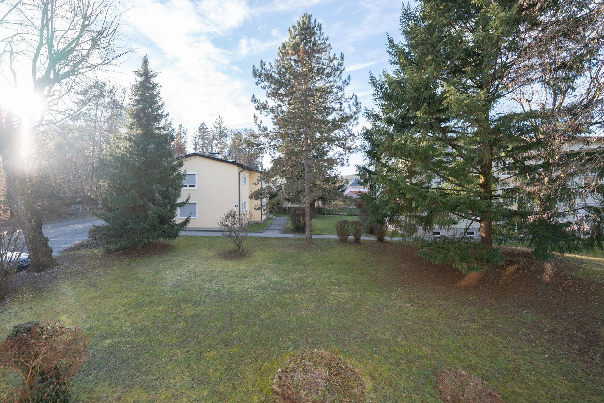 Weitläufiger Blick aus dem Fenster auf eine grüne Umgebung mit Bäumen und anderen Gebäuden.