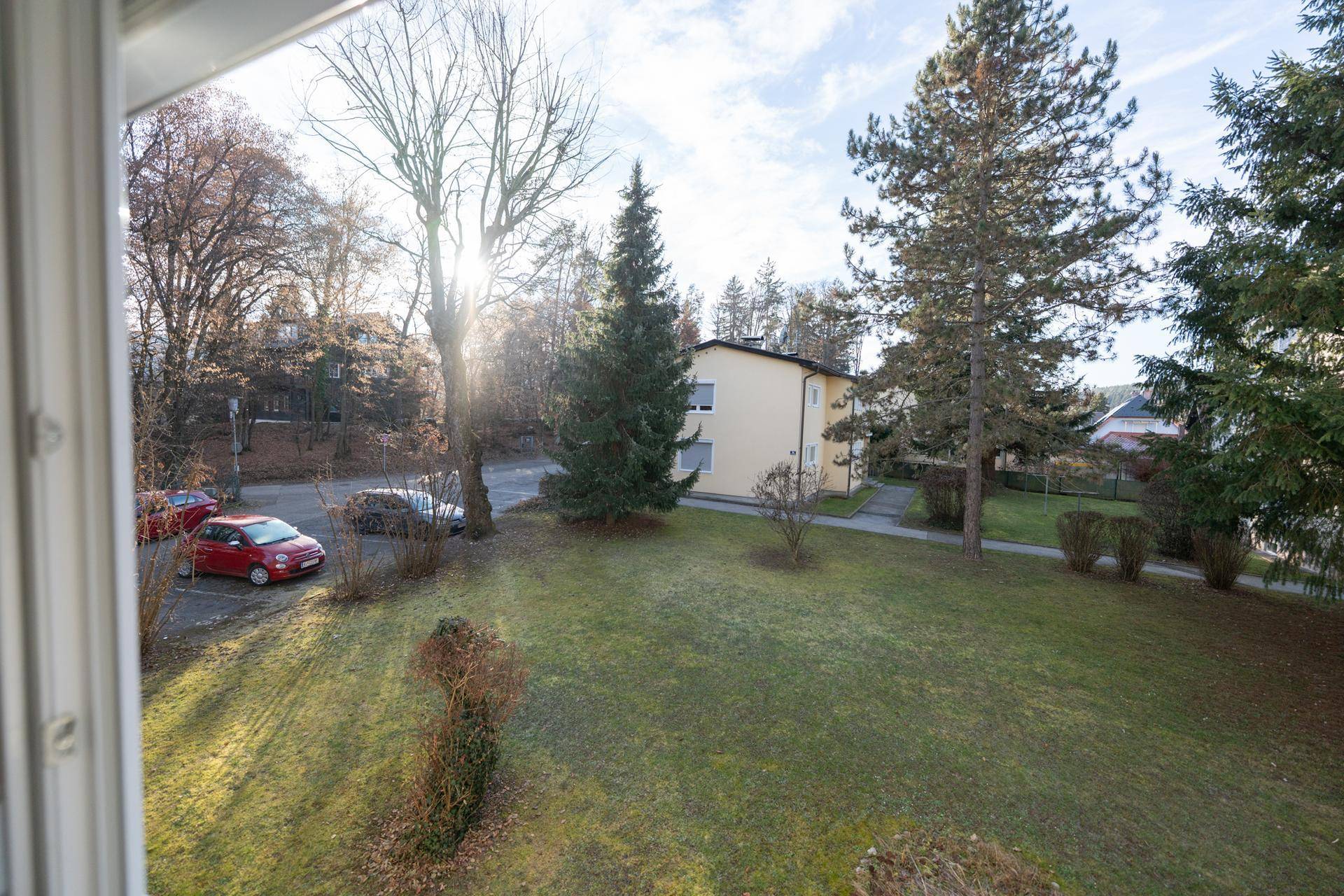 Blick aus dem Fenster auf eine grüne Umgebung mit Bäumen, einer Straße und parkenden Autos.