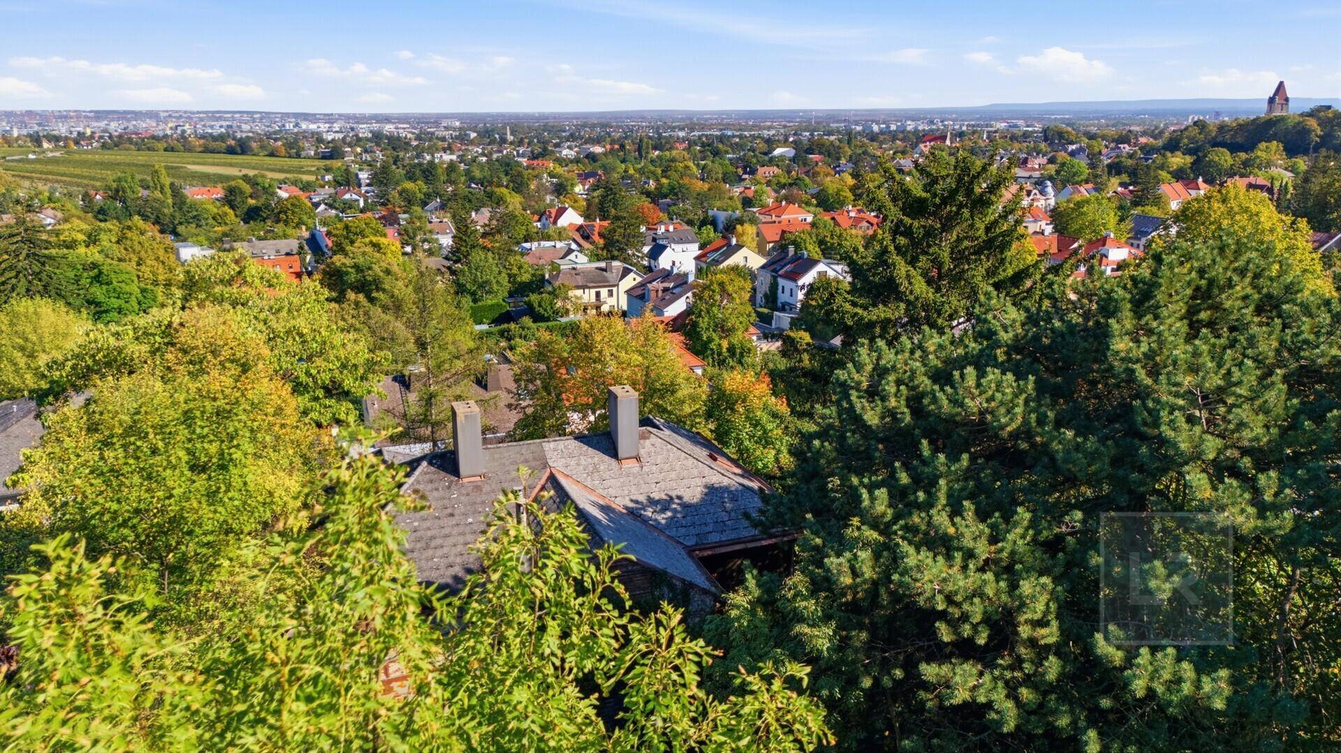 Panoramablick aus der Luft auf das Anwesen, umgeben von Bäumen, mit der Stadt im Hintergrund.