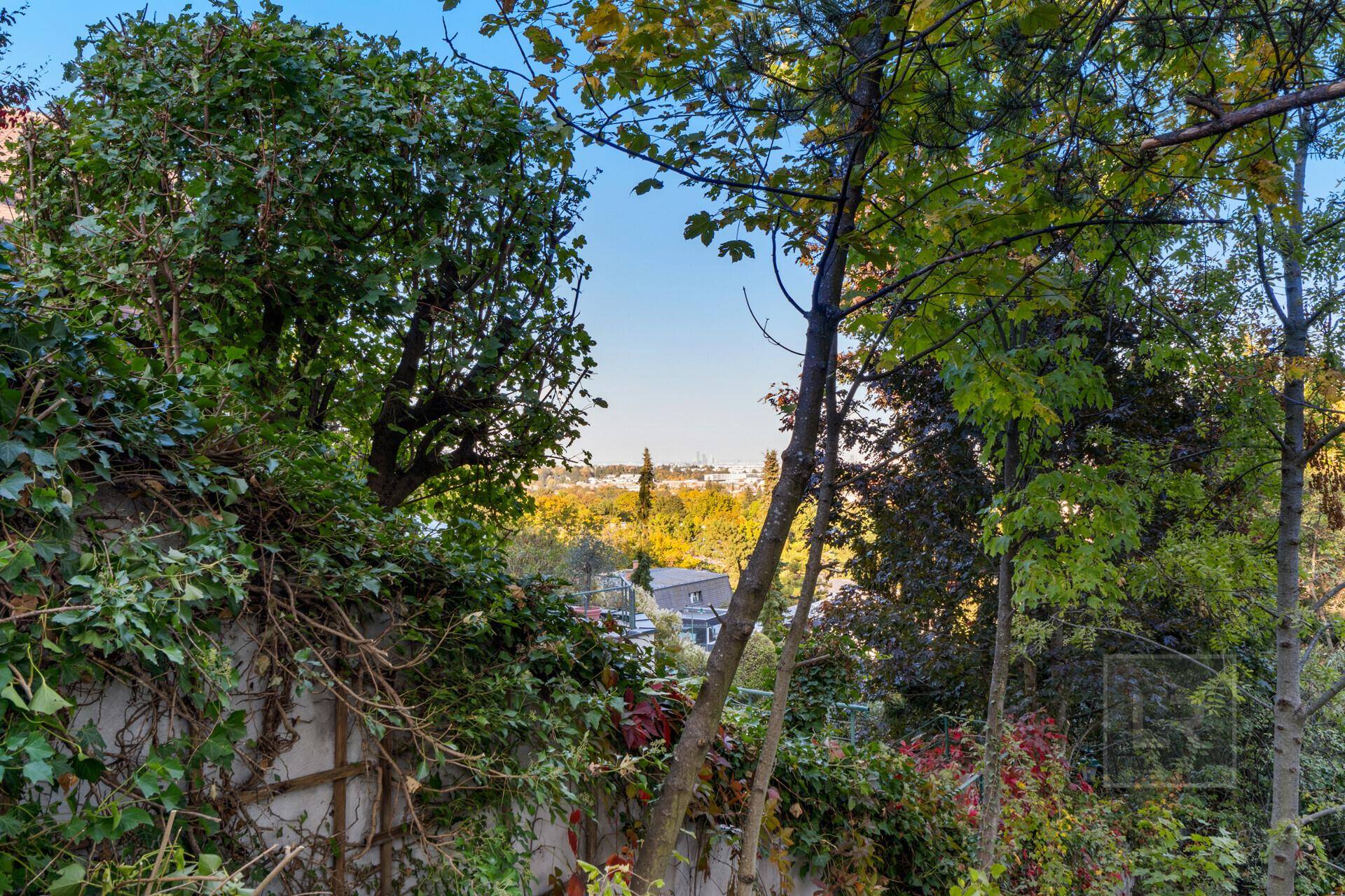 Blick durch dichtes Laubwerk auf die entfernte Stadtlandschaft und den Horizont.