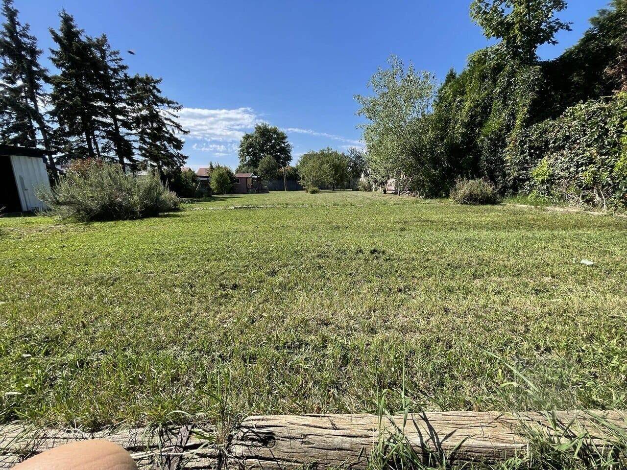 Weitläufige Rasenfläche mit Bäumen und blauem Himmel, ideal für Gartenaktivitäten und Erholung.