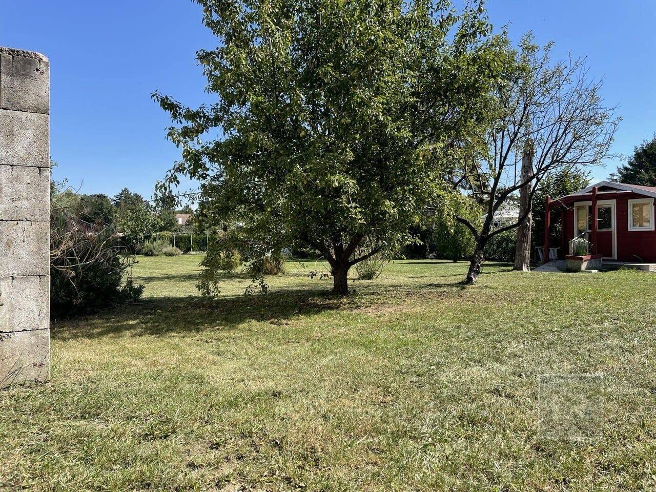 Sonniger Gartenbereich mit einem großen Baum und einem kleinen roten Gartenhaus im Hintergrund.