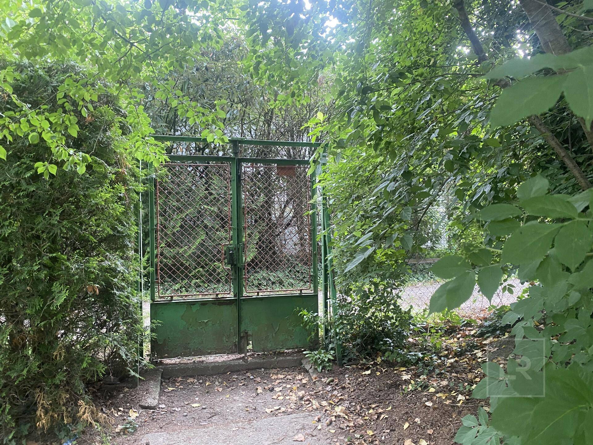 Grünes Metalltor umgeben von dichtem Laubwerk, das den Zugang zum Grundstück markiert.