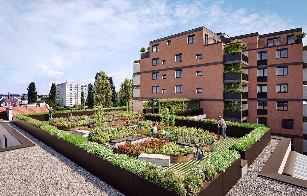 Gemeinschaftlicher Dachgarten mit Hochbeeten und Sitzbereichen, ideal für Urban Gardening und Entspannung.