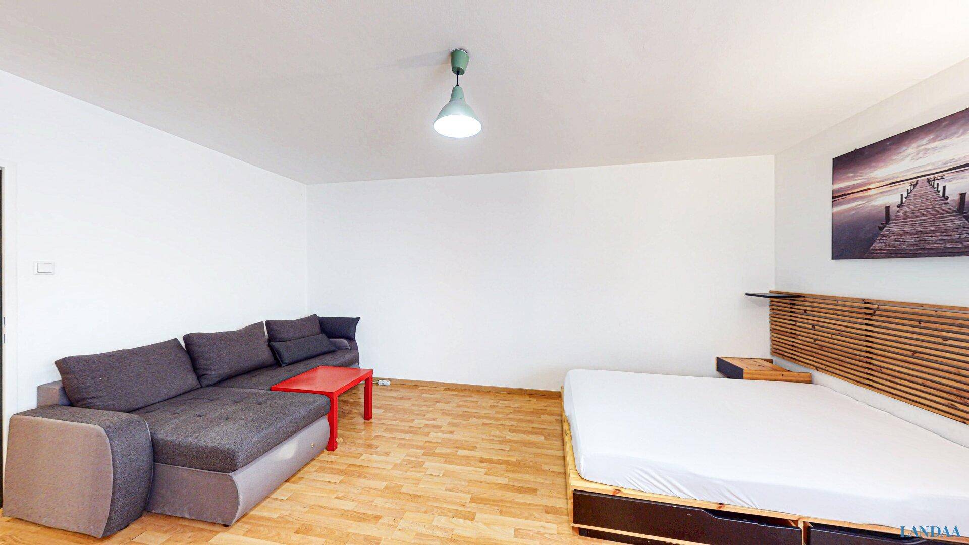 Offener Wohn- und Schlafbereich mit gemütlichem Sofa und Bett, auf hellem Parkettboden.