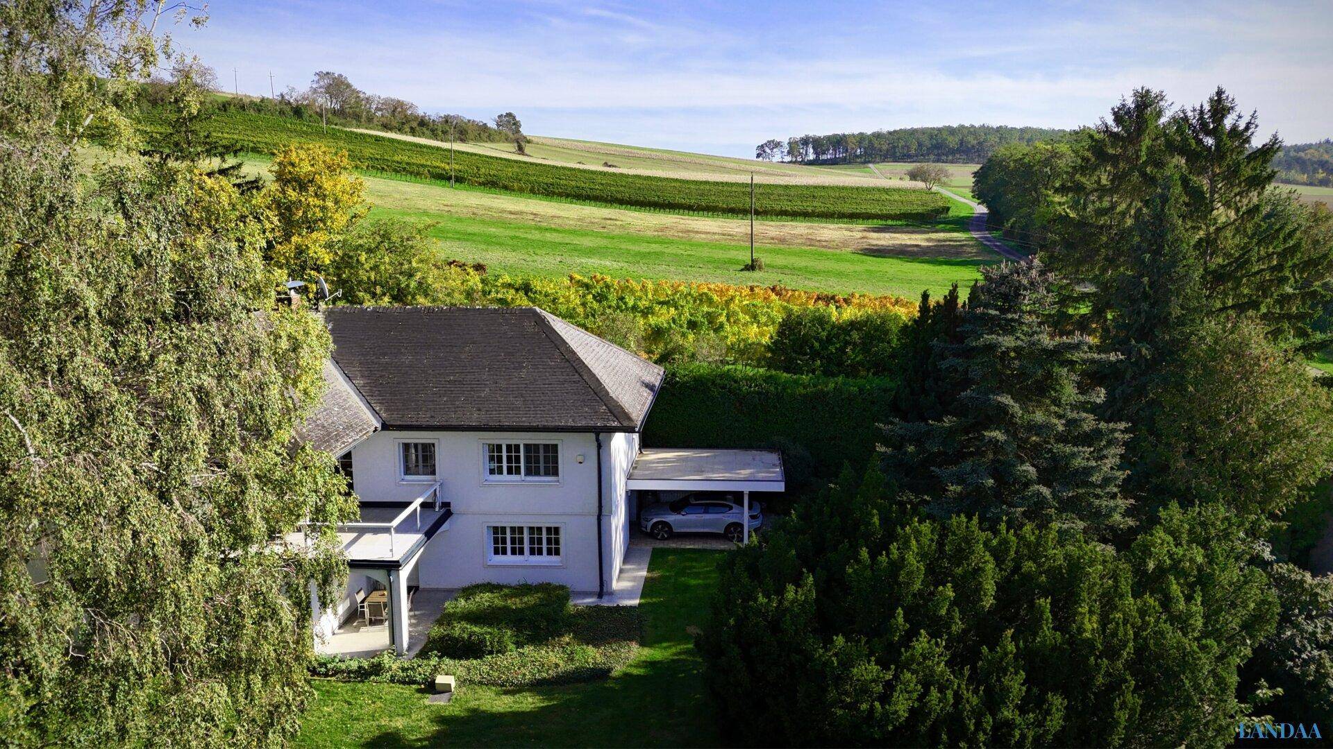 Luftaufnahme des Hauses mit angrenzenden Weinbergen und weitem Blick über die Landschaft.