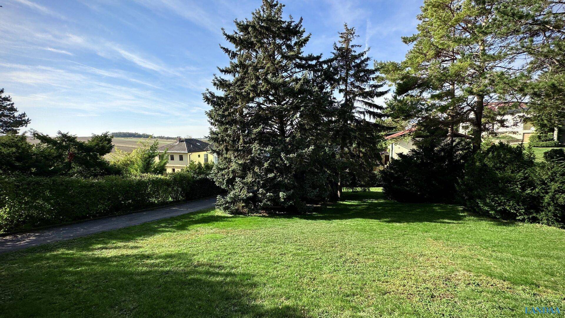 Weitläufiger Gartenbereich mit gepflegtem Rasen und hohen Bäumen unter blauem Himmel.