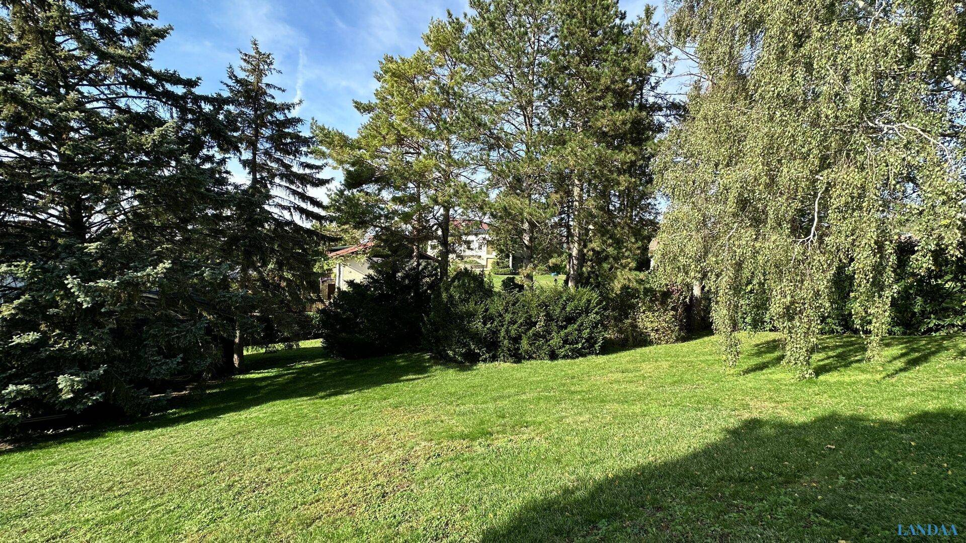 Großer, gepflegter Garten mit Rasenfläche und verschiedenen Bäumen an einem sonnigen Tag.