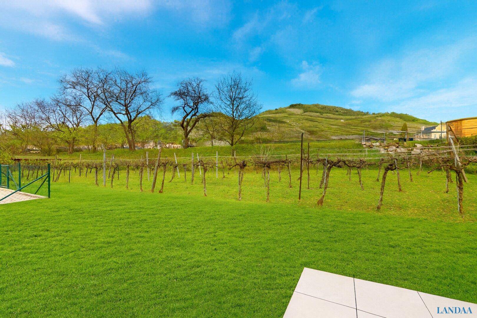 Großer, gepflegter Garten mit Rasenfläche und Blick auf die umliegenden Weinberge.