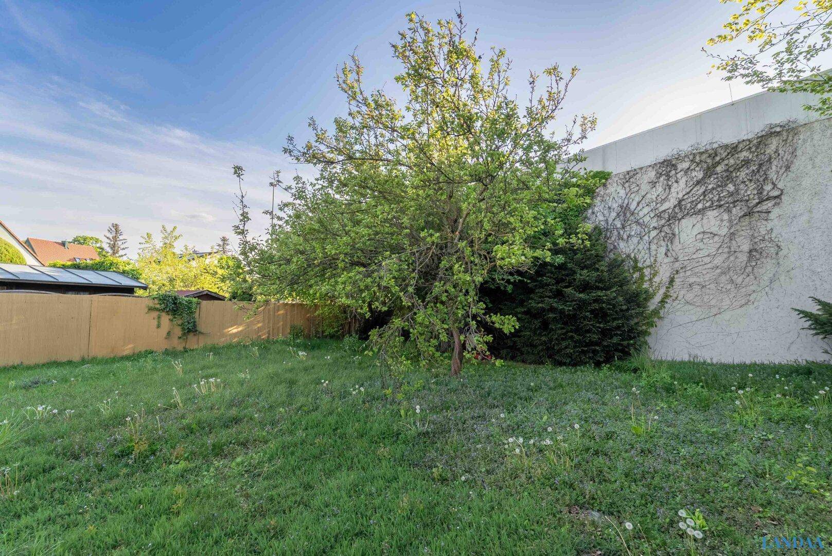 Naturbelassener Gartenbereich mit altem Baum und üppigem Grün, ideal für Entspannung.