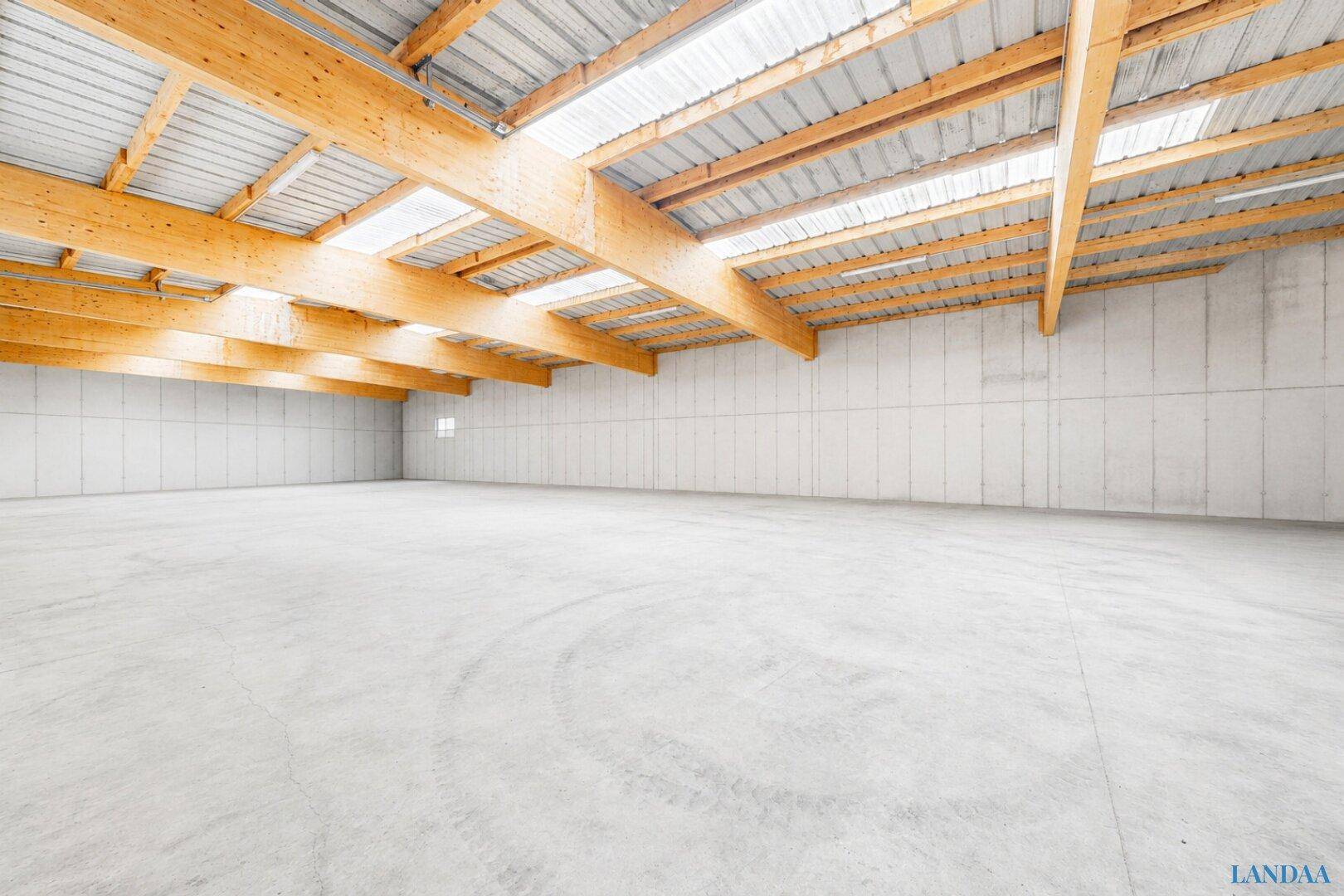 Große, leere Lagerhalle mit Betonboden, Holzbalken und Oberlichtern, die für viel Helligkeit sorgen.