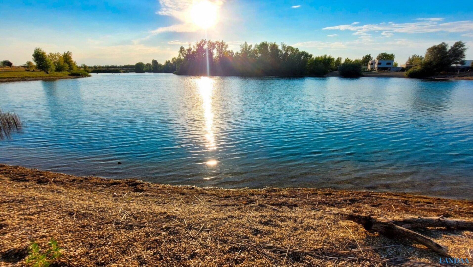 Weitläufiger See mit spiegelnder Sonne, umgeben von Bäumen und trockenem Uferland.
