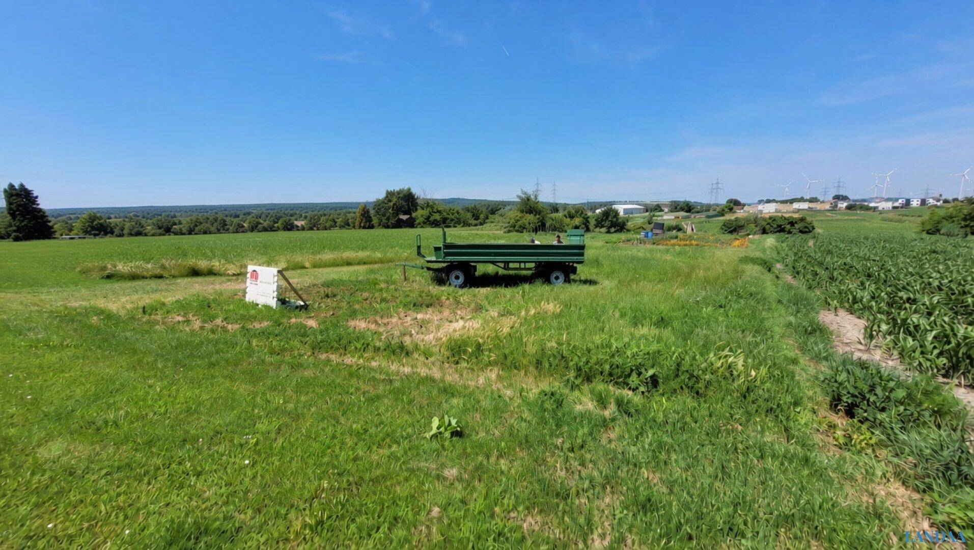 Weitläufiges grünes Feld mit einem Anhänger unter strahlend blauem Himmel und Windrädern am Horizont.