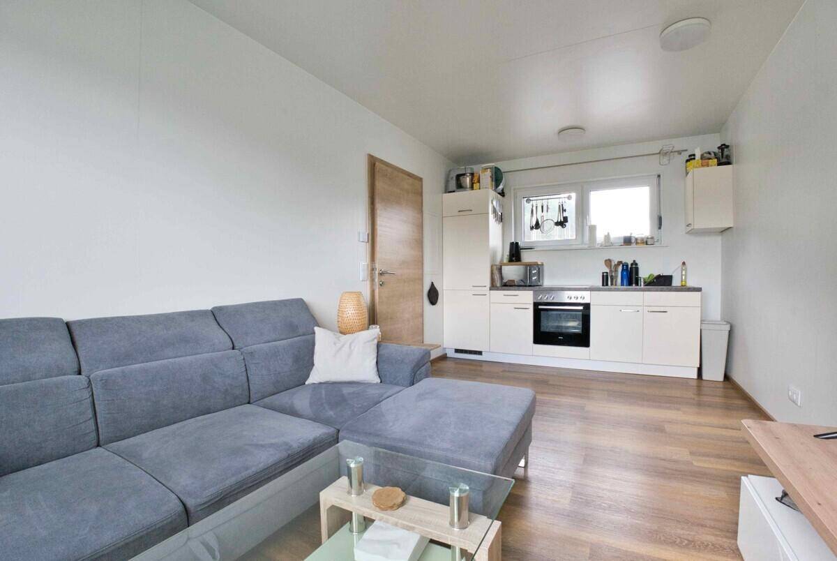 Offener Wohnbereich mit Sofa und integrierter, funktionaler Küchenzeile.