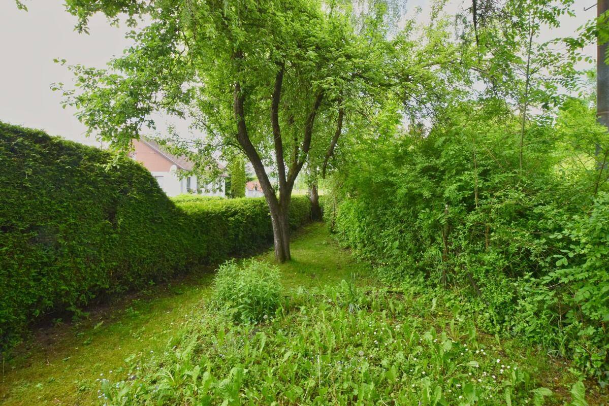 Üppiger Gartenbereich mit dichtem Grün, Bäumen und Sträuchern, die Privatsphäre bieten.