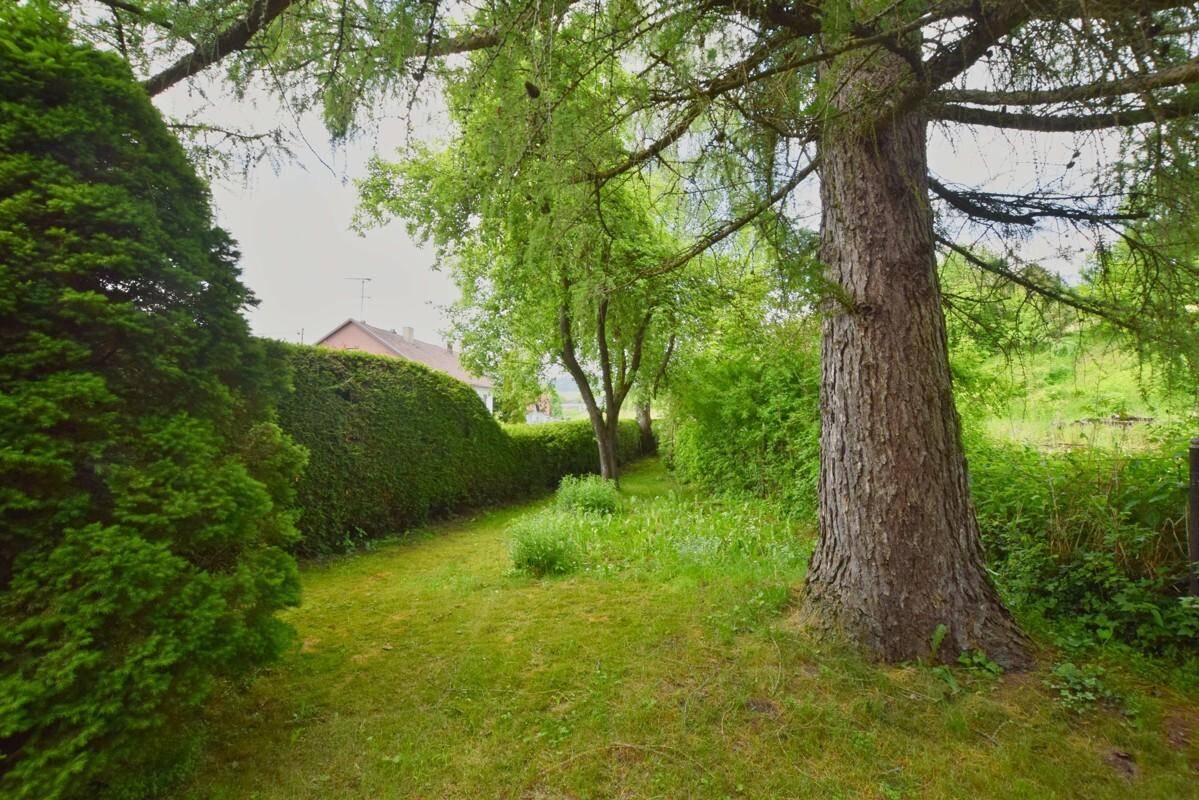 Grüner Gartenweg, gesäumt von einer hohen Hecke und alten Bäumen.