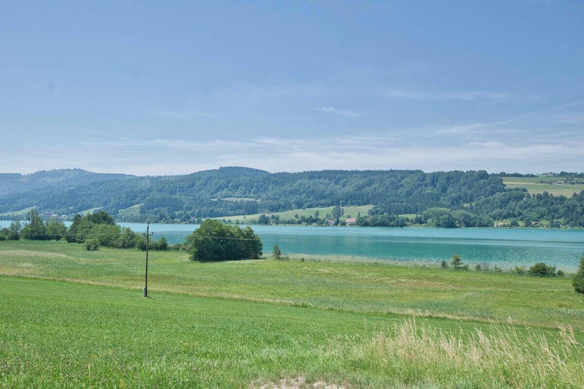 Weitläufiger Panoramablick auf einen ruhigen See, umgeben von sanften grünen Hügeln und Feldern.