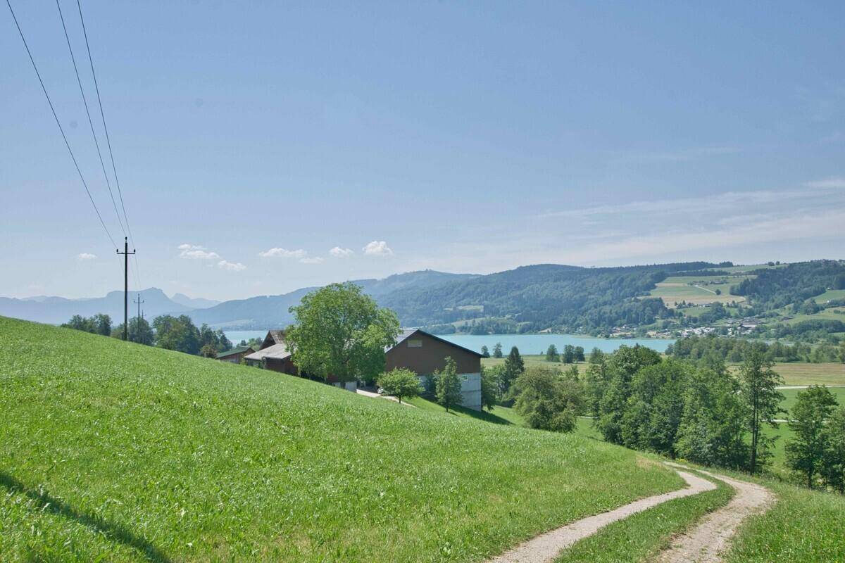 Malerischer Blick über grüne Hügel und einen See mit vereinzelten Häusern in der Ferne.