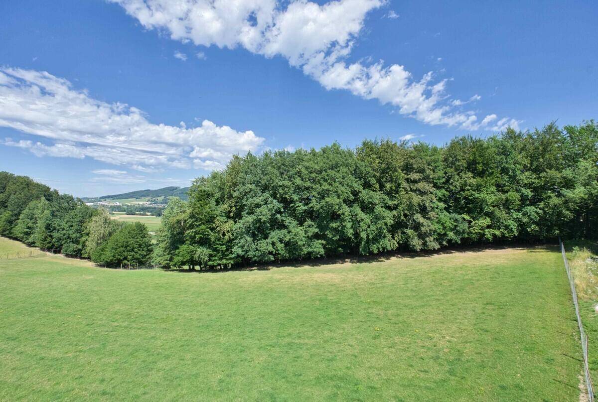 Weitläufige grüne Landschaft mit Feldern, Wäldern und einem weiten Himmel.