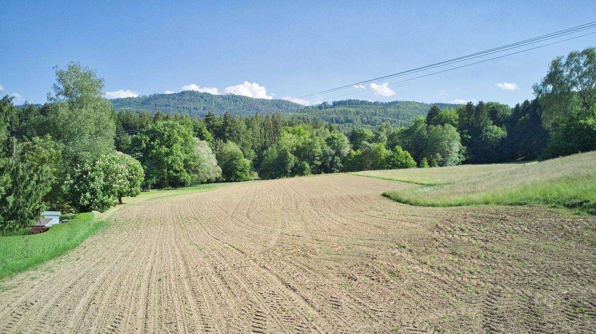 Baugrund Hainbach