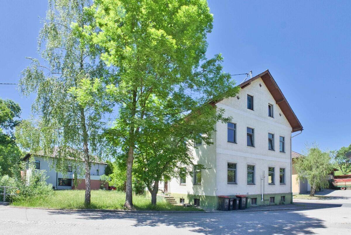 Ansicht des Gebäudes von der Straßenseite mit hohen Bäumen und heller Fassade an einem sonnigen Tag.