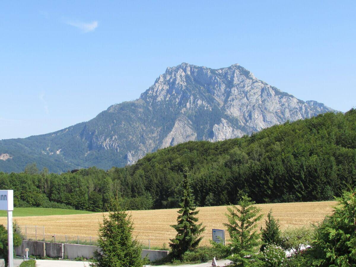 Beeindruckender Blick auf eine majestätische Bergkette, umgeben von Wäldern und Feldern.