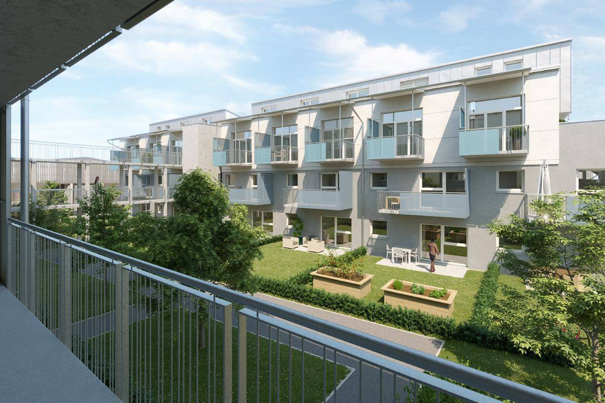 Slide 8