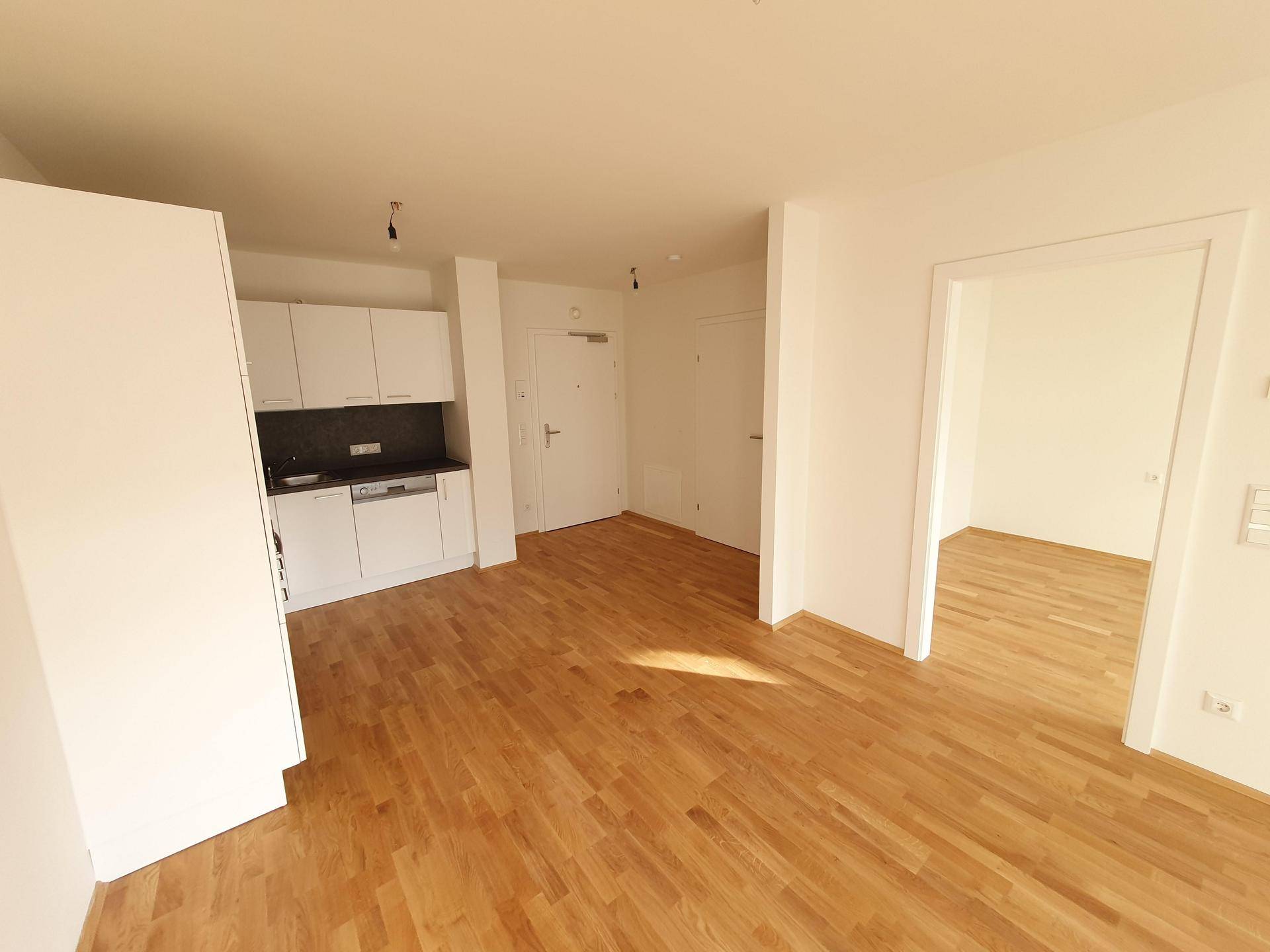Offener Wohnbereich mit integrierter Küchenzeile und Holzboden, ideal für modernes Wohnen.