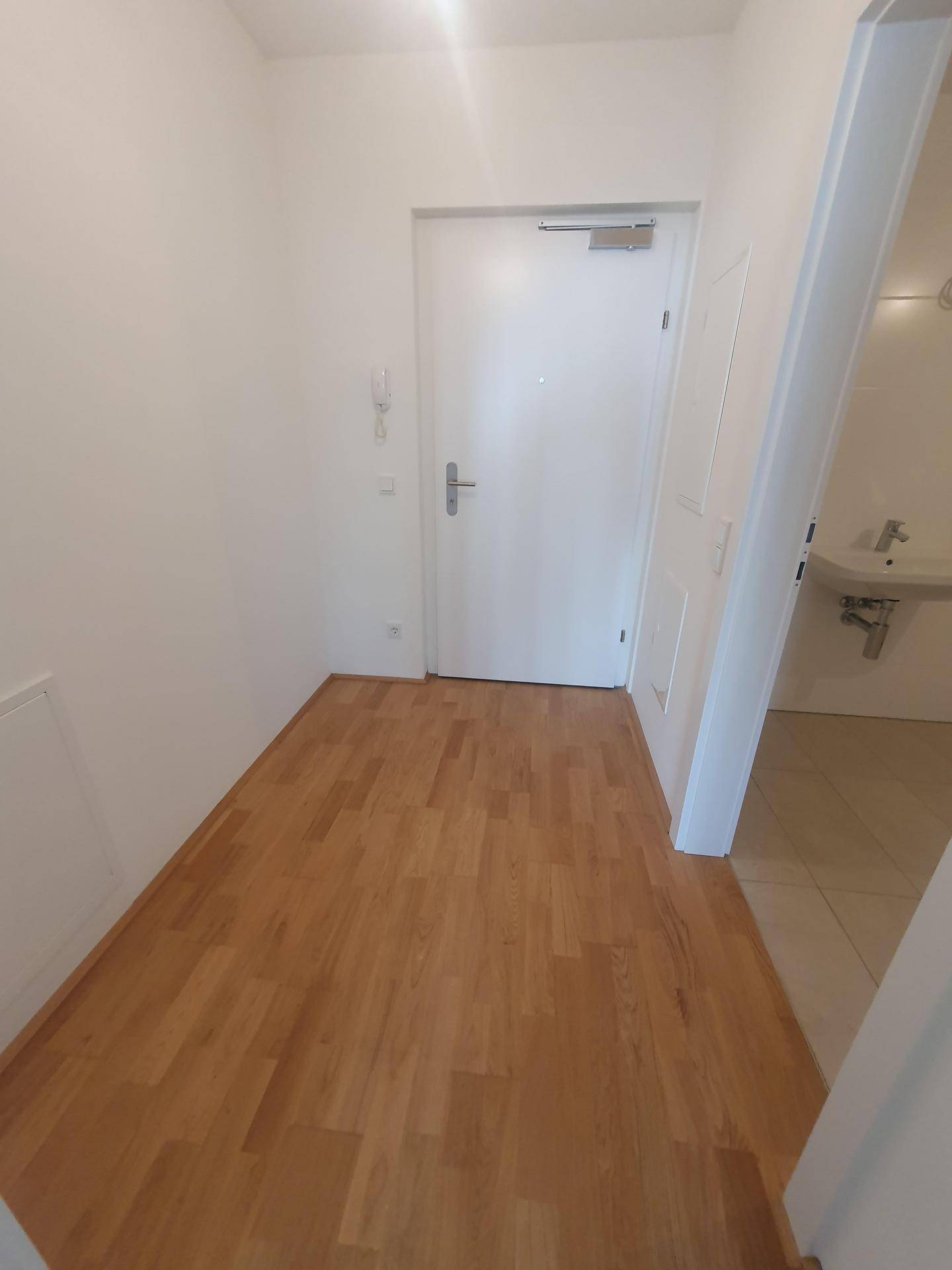 Eingangsbereich mit Parkettboden und Zugang zu den weiteren Räumen der Wohnung.