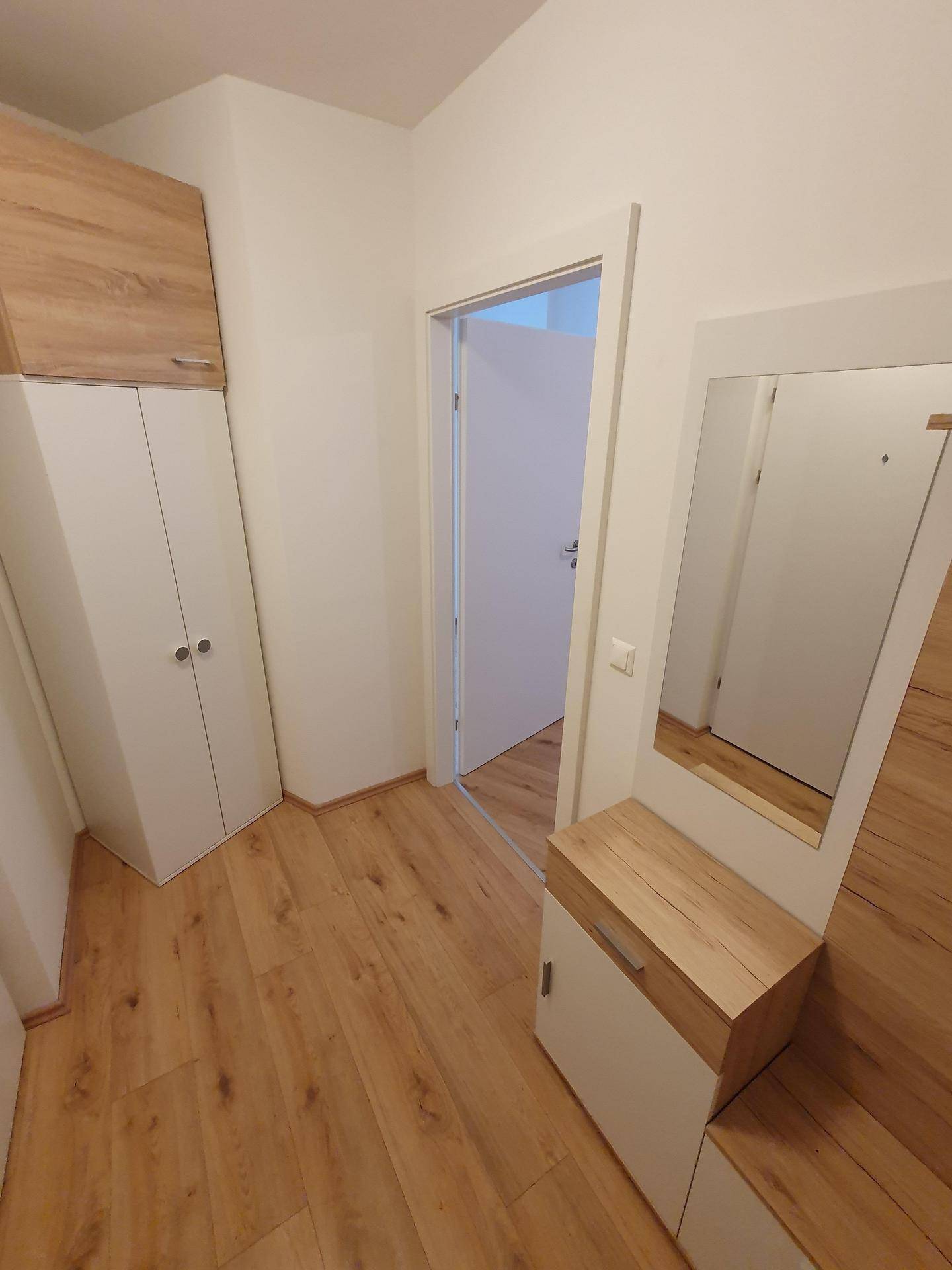 Eingangsbereich mit Garderobe, Spiegel und Laminatboden, der zu den Wohnräumen führt.