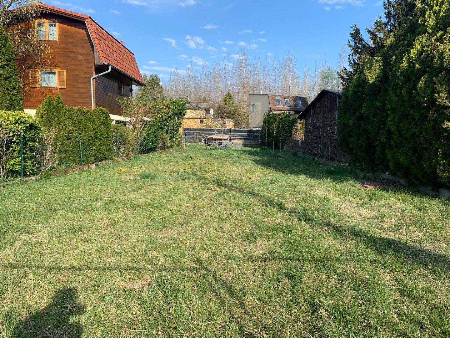 Weitläufige Rasenfläche eines Gartens mit angrenzenden Hecken und Bäumen im Hintergrund.