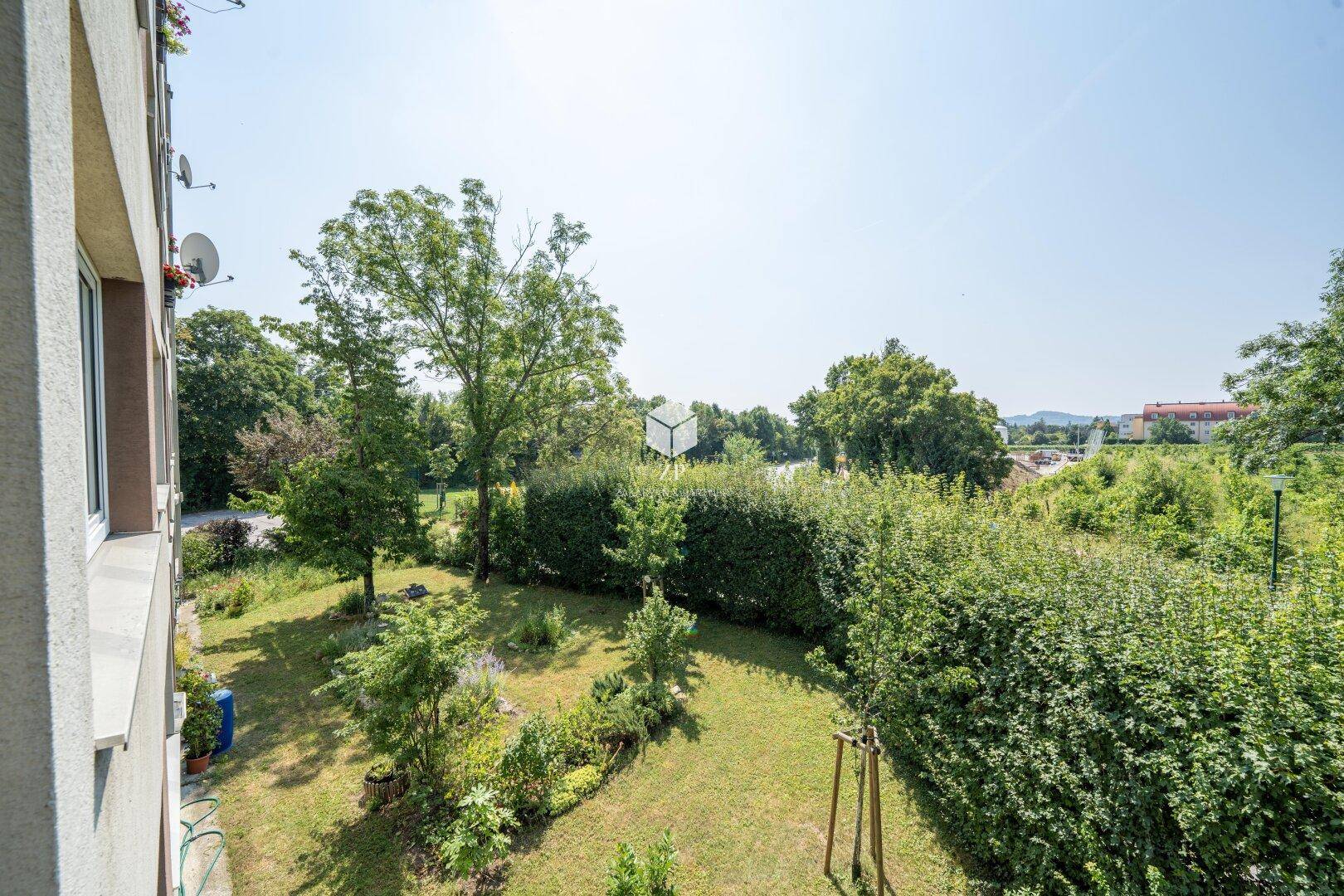 Grünblick aus Loggia 2