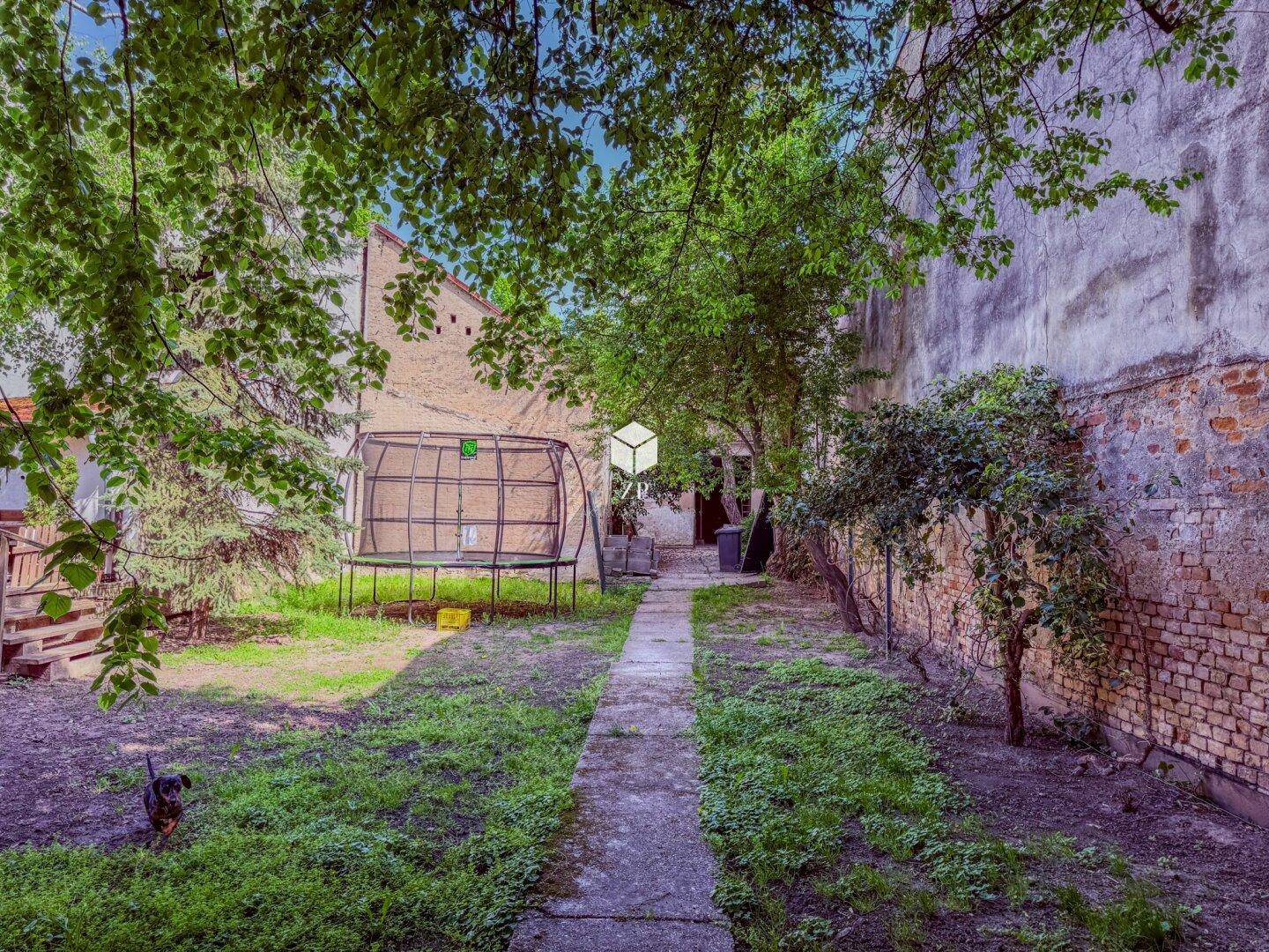Länglicher Gartenbereich mit Rasen, Bäumen und einem Trampolin im hinteren Teil.