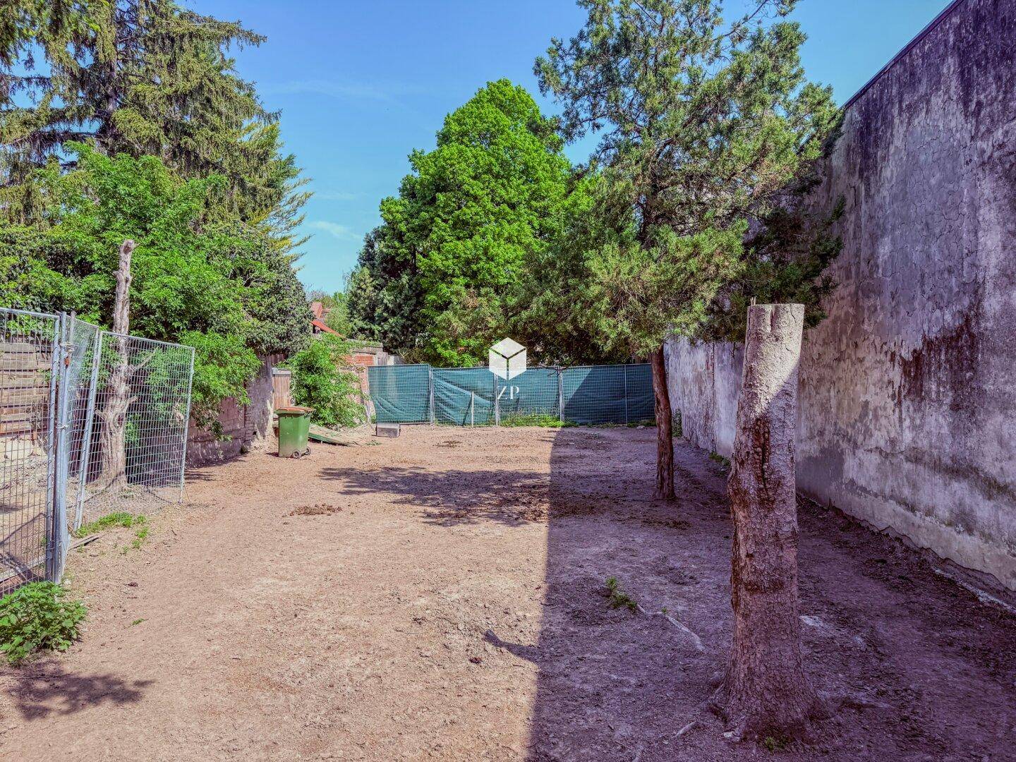 Offener Gartenbereich mit Erdboden, hohen Bäumen und einer alten Mauer im Hintergrund.