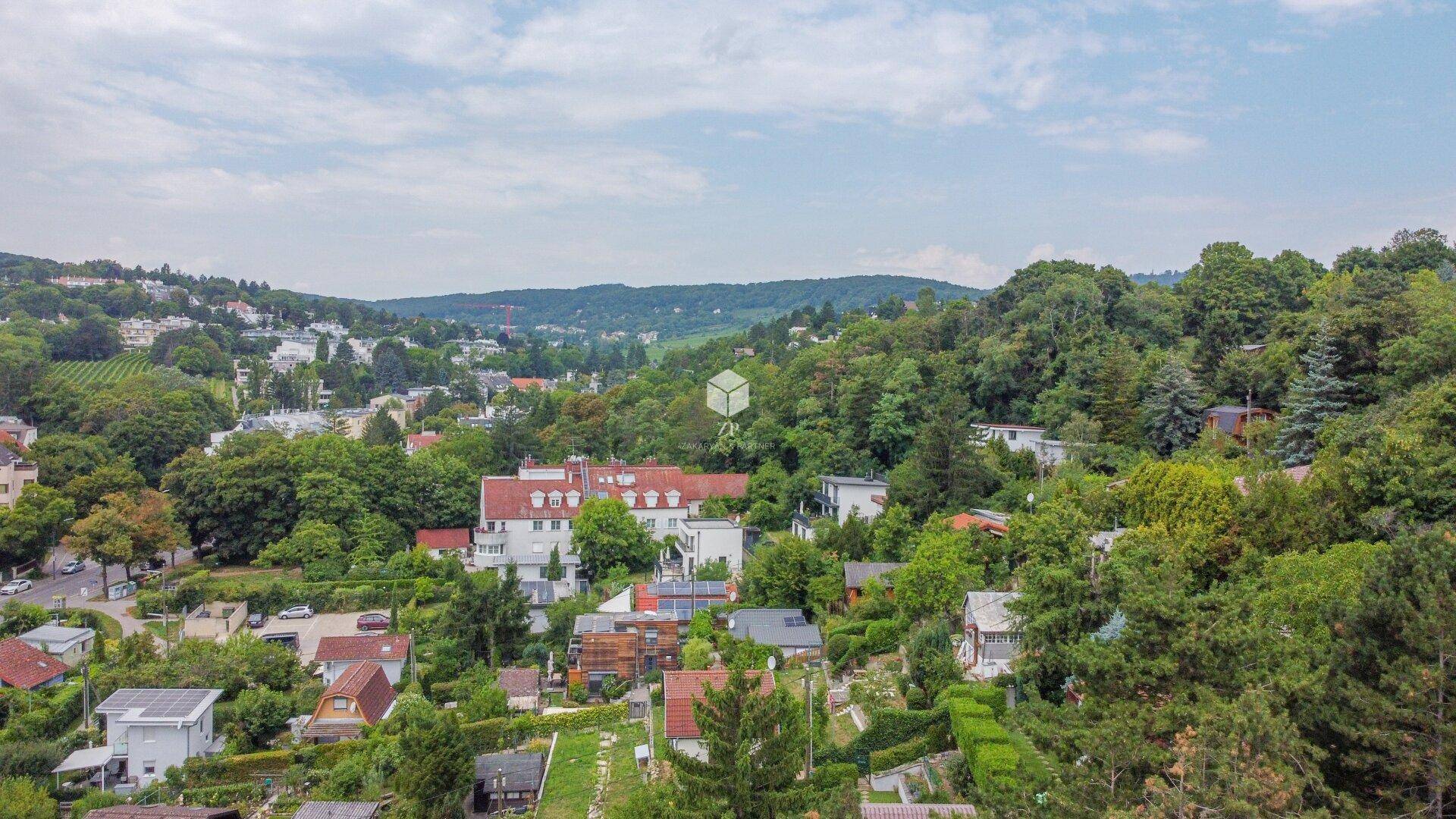 Fernblick