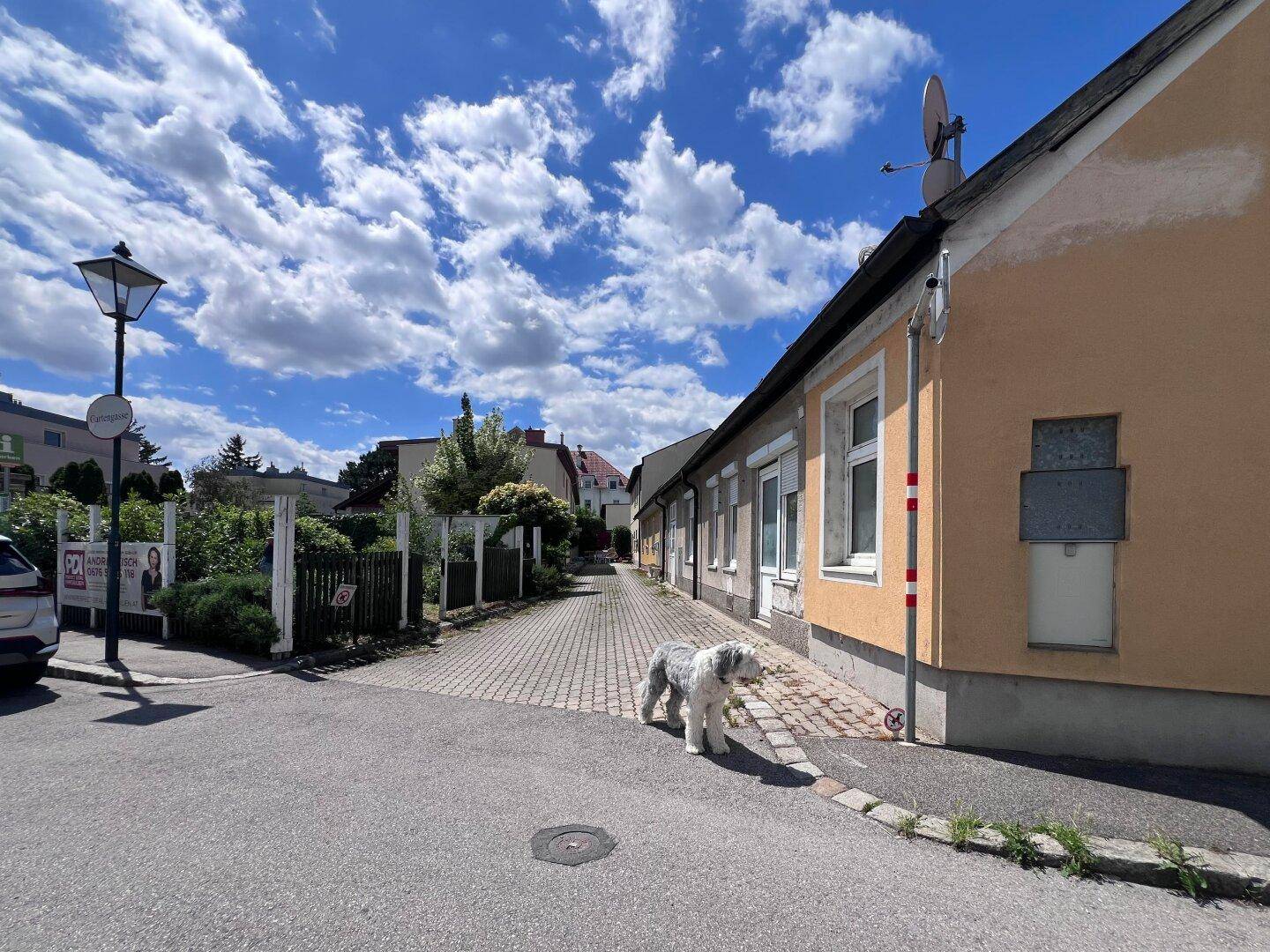 Seitenansicht des Hauses mit angrenzender Straße und einem Hund, der die Umgebung erkundet.
