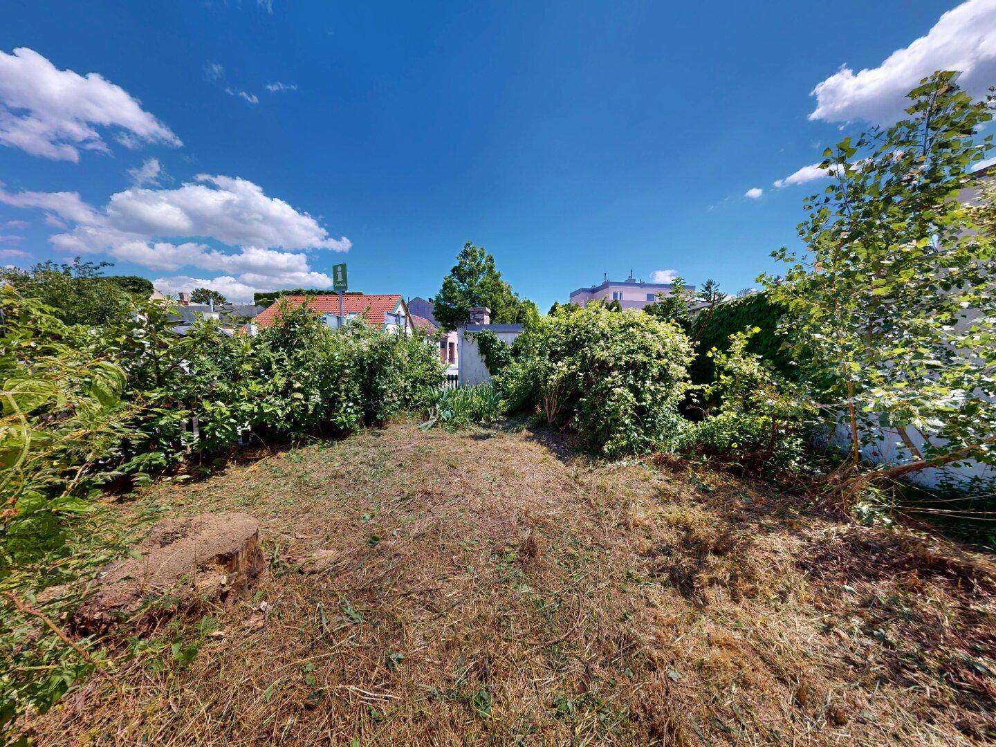 Weitläufiger Gartenbereich mit dichter Vegetation und Bäumen, der viel Potenzial bietet.