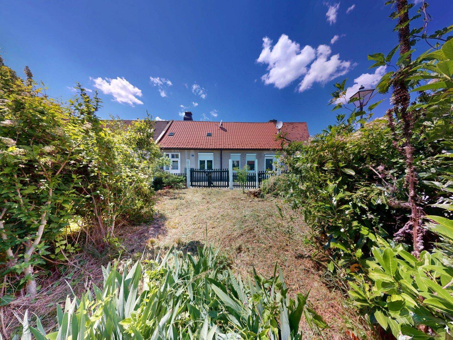 Blick vom Garten auf die Rückseite des Hauses, umgeben von üppigem Grün und Sträuchern.