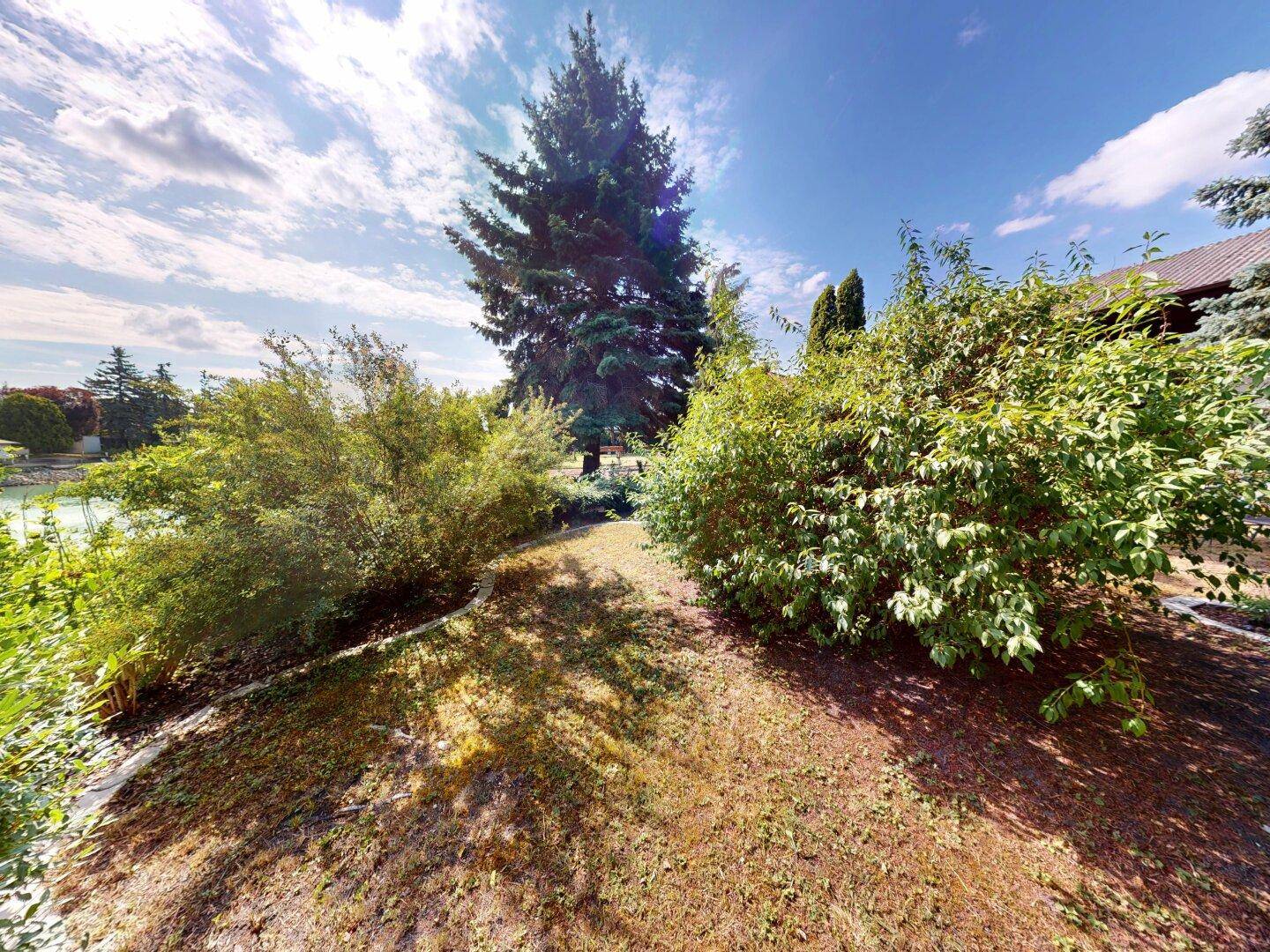 Ein Pfad führt durch dichte Büsche und Sträucher in einem gepflegten Gartenbereich.
