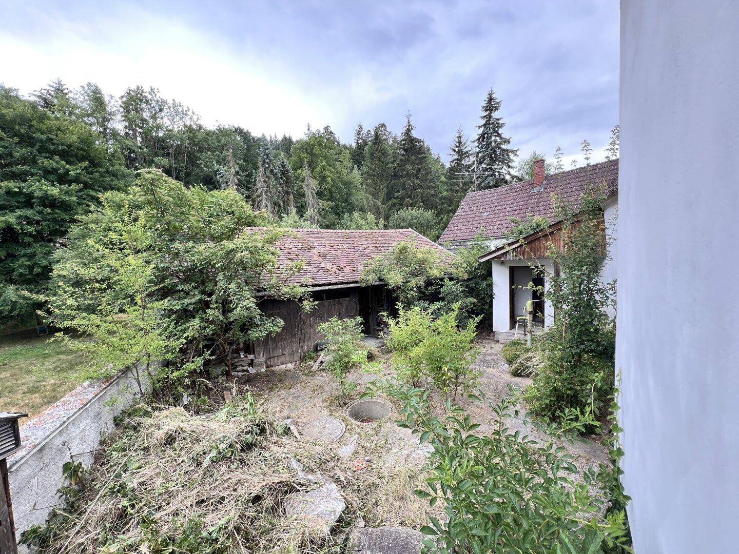 Blick auf den verwilderten Gartenbereich mit alten Nebengebäuden und Bäumen.
