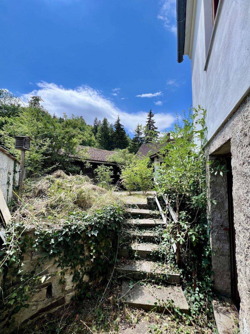 Verwilderter Gartenbereich mit Steintreppe und üppiger Vegetation, führt zu weiteren Gebäuden.