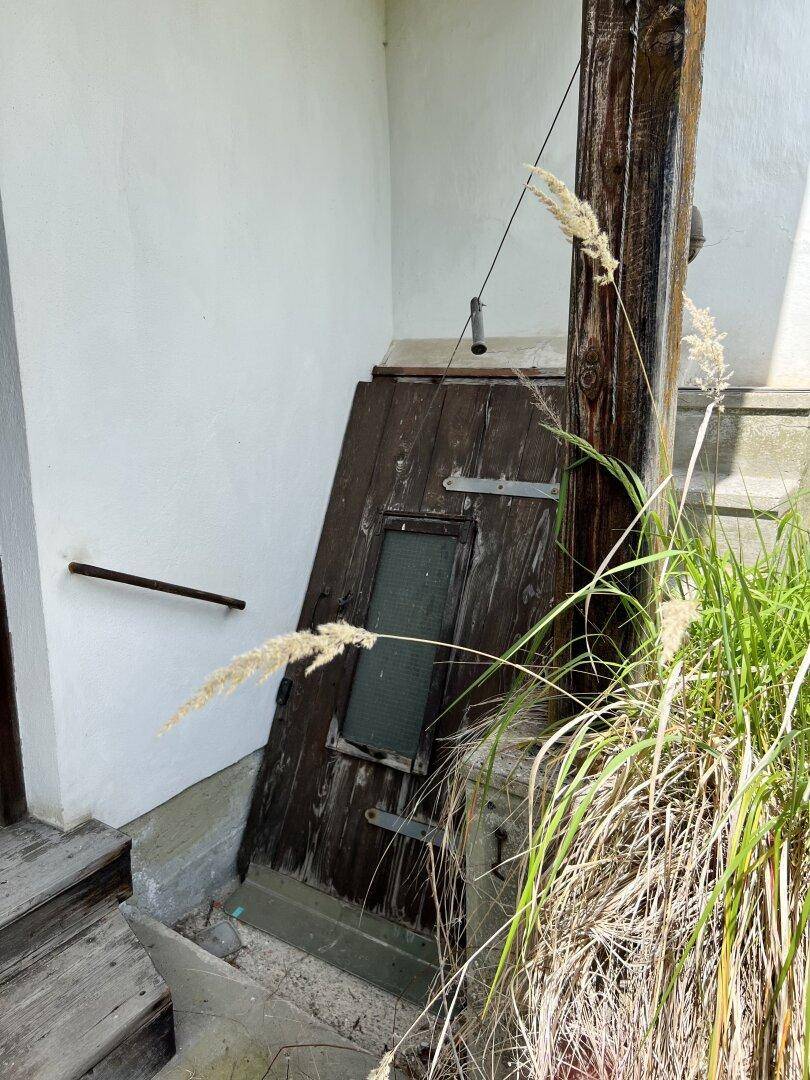 Alter Holzeingang zu einem Keller oder Souterrain, umgeben von Gras und Pflanzen.