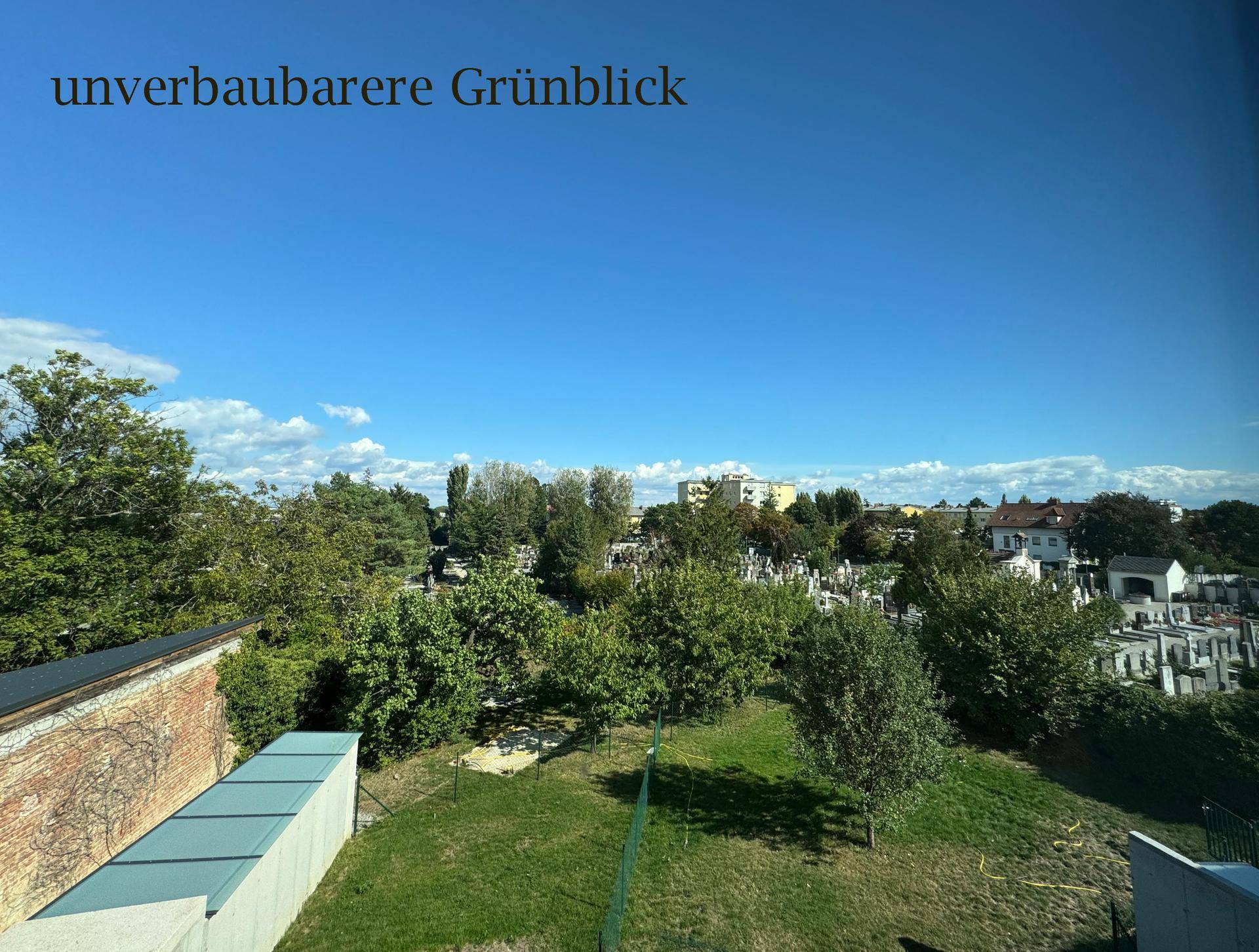 Grünblick IMG_3050