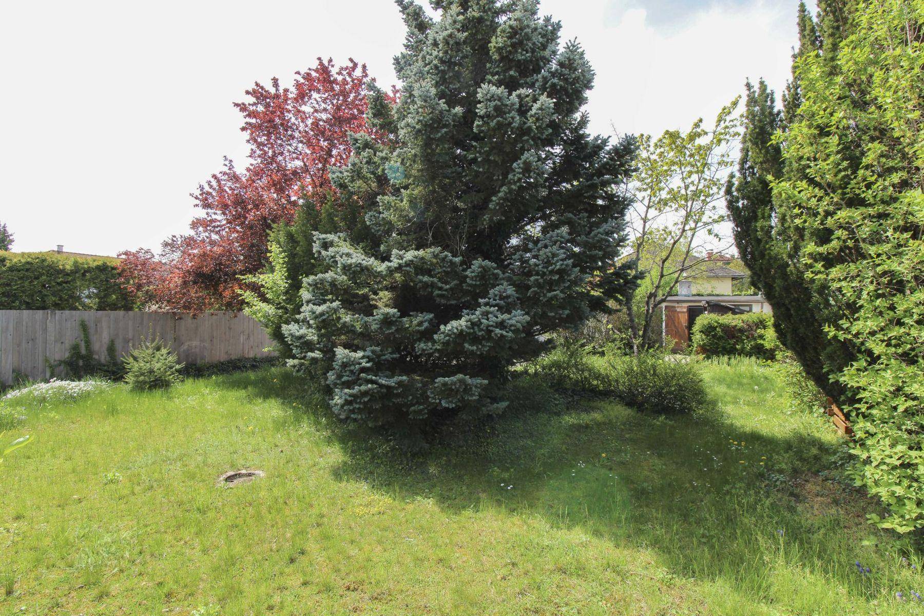 17_Garten