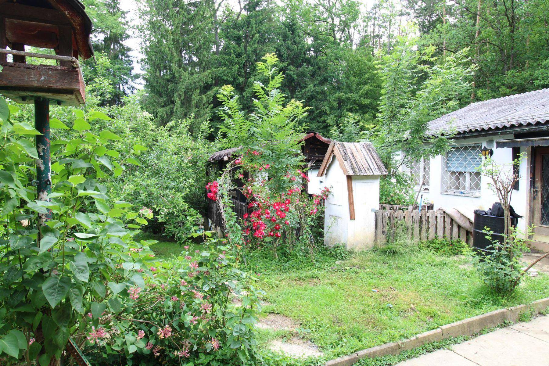 Garten (2)