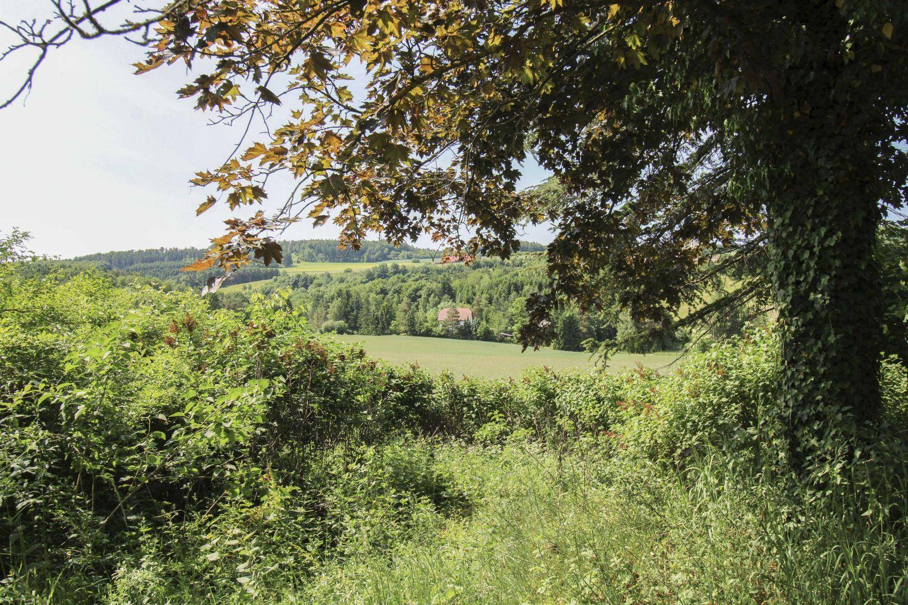 05_Aussicht